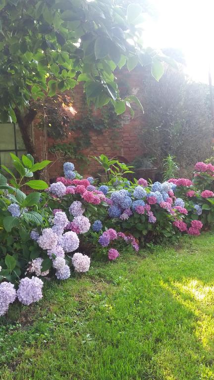Il Pettirosso B&B Certosa di Pavia Exterior foto